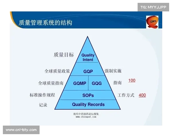 质量控制体系逐步完善,保障内容输出专业稳定